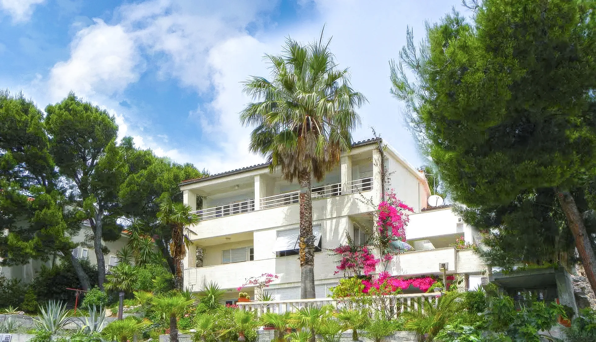 Villa Carmen apartments in Brela, Dalmatia, among palms and pine trees